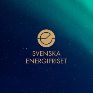 The Swedish Energy Award